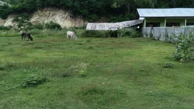 Habis Miliaran, Proyek Stadion Desa Bajak Reok Malah Mangkrak