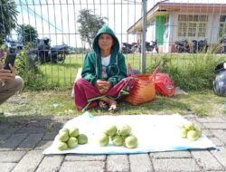 Inspiratif! Penjual Jambu Biji dan Sayur di Manggarai Mampu Sekolahkan Anak