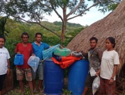 Surfaid Berikan Bantuan Bagi Kelompok Tani di Desa Patiala Dete, Sumba Barat