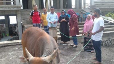 Peringati Idul Adha IPMIT Bantu Hewan Kurban untuk Masyarakat Pesisir Flores