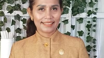 Pemkab Ende Diminta Jangan Abaikan Nasib Tenaga Medis Sukarela