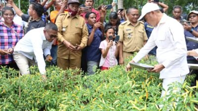 Kunker ke SBD, Gubernur VBL Minta Masyarakat Kembangkan Tanaman Hortikultura