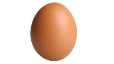 Viral, Sebutir Telur Bulat Sempurna di Australia Terjual Seharga Rp21 Juta