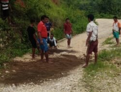 Warga di Sumba Barat Gotong Royong Perbaiki Jalan Propinsi yang Rusak Parah