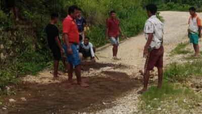 Warga di Sumba Barat Gotong Royong Perbaiki Jalan Propinsi yang Rusak Parah