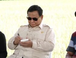 Prabowo Bangga Hadiri Panen Raya, Indonesia Tunjukkan Kemandirian Pangan dan Siap Ekspor Telur ke Dunia