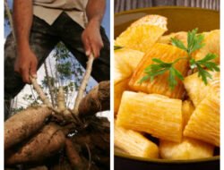 Waspada! Ini Makanan yang Bisa Menimbulkan Masalah Jika Dihidangkan Bersama Singkong Rebus